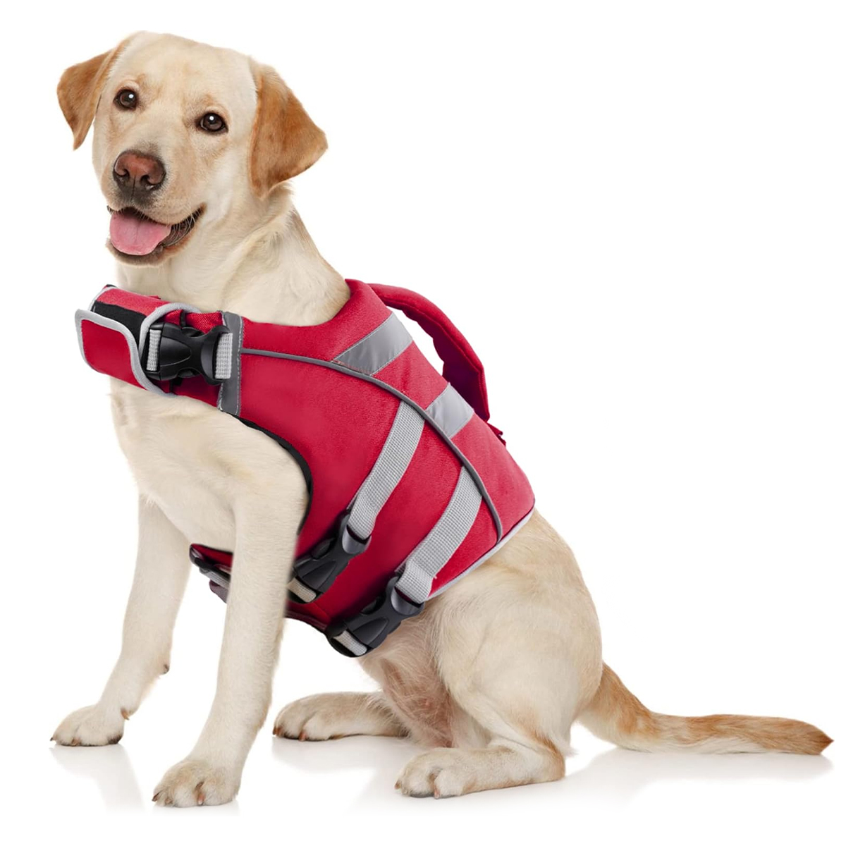 Dog Life Jacket - Pastikan petualangan air anjing Anda aman