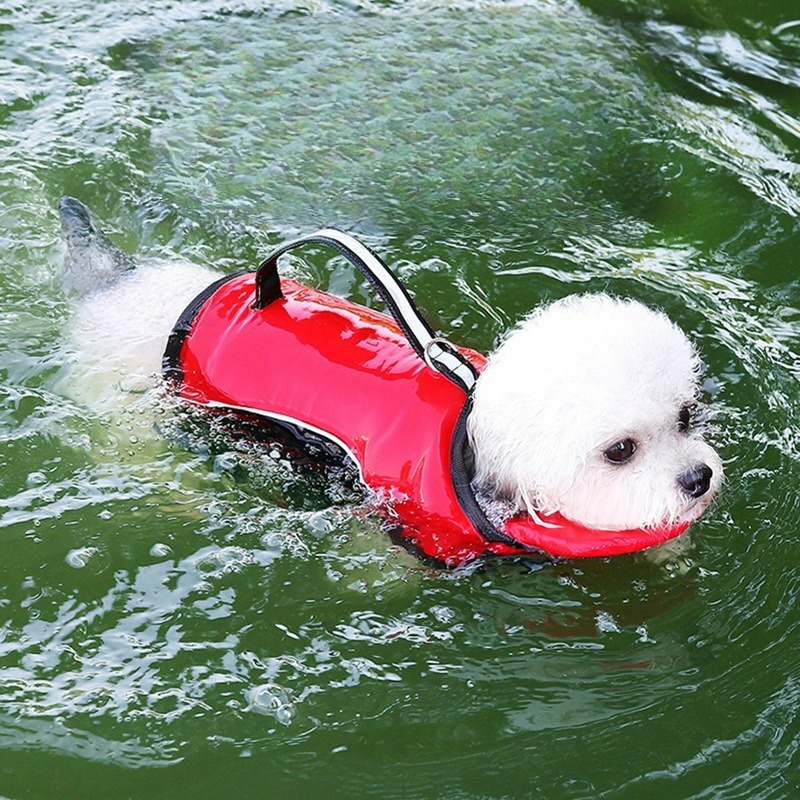 Dog Life Jacket - Baju Renang Anjing Pakaian Hewan Peliharaan