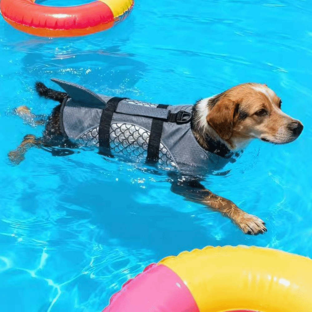 Dog Life Jacket - Pelampung Anjing Daya Apung Kuat, Model