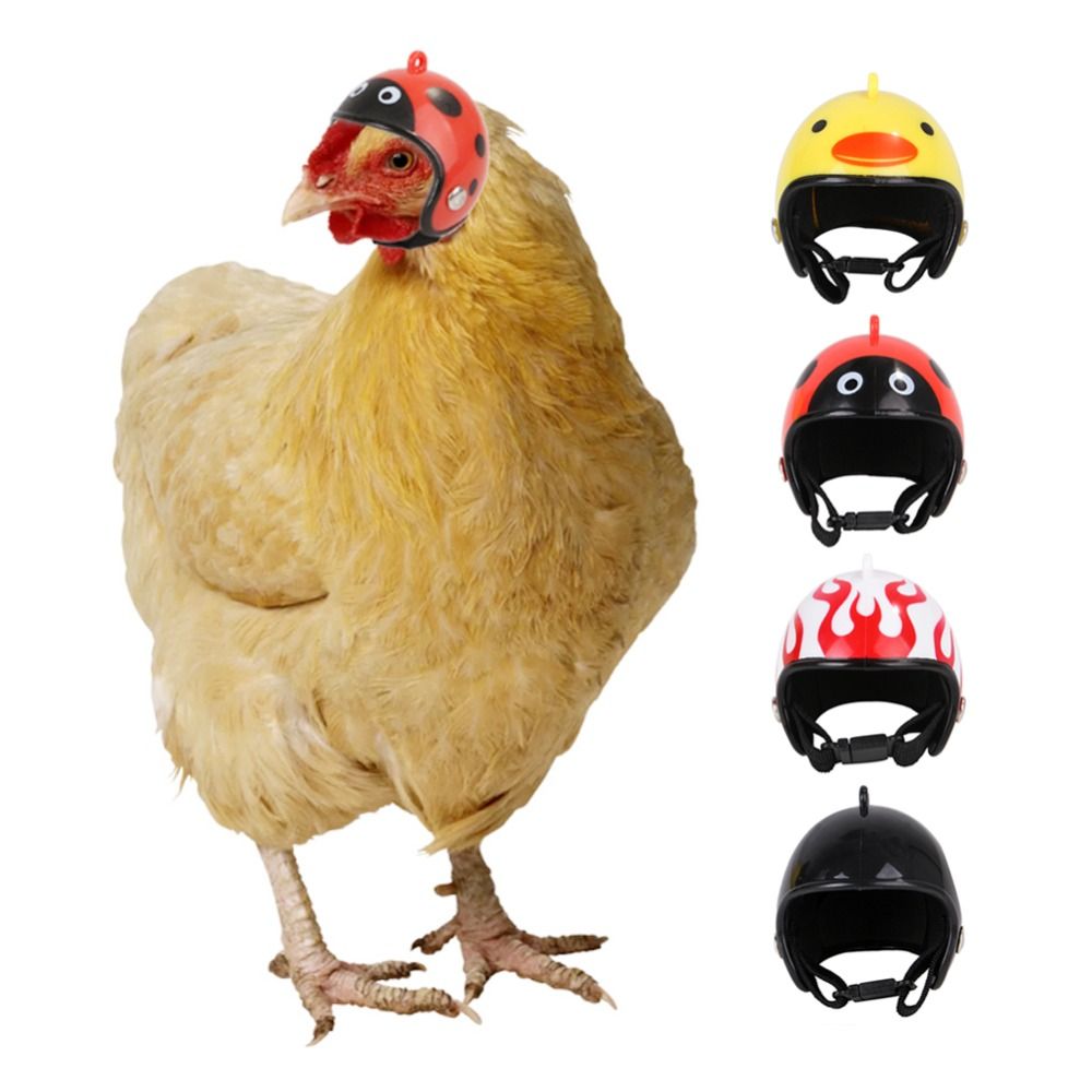 Pet X Supplies & Tack Reviews - Perlengkapan Hewan Peliharaan ABS, Penutup Kepala
