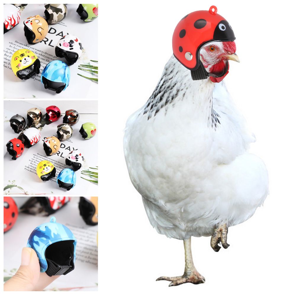 Pet X Supplies & Tack Reviews - Perlengkapan Hewan Peliharaan Lucu ABS, Pelindung