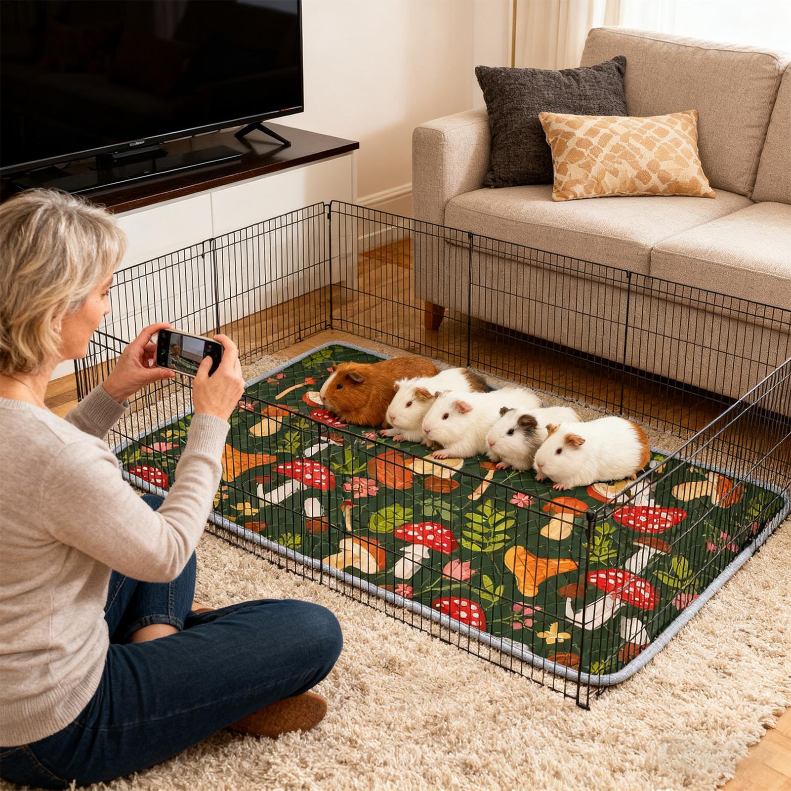 Alas Kandang Chinchilla Penyer - Hedgehog Bedding Liner ulasan dan harga