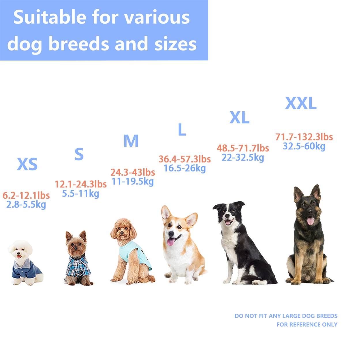 Pastikan petualangan air anjin - Dog Life Jacket ulasan dan harga