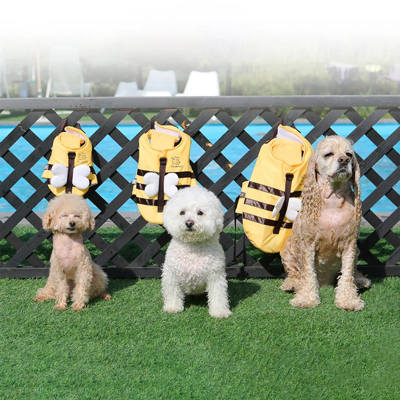 Baju renang anjing lebah kecil - Dog Life Jacket ulasan dan harga