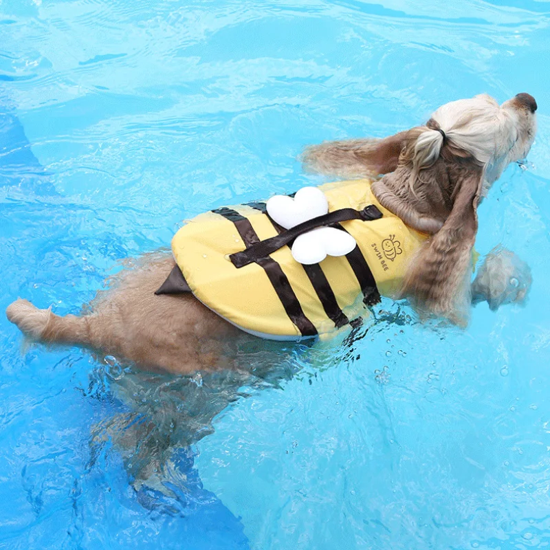 Baju renang anjing lebah kecil - Dog Life Jacket ulasan dan harga