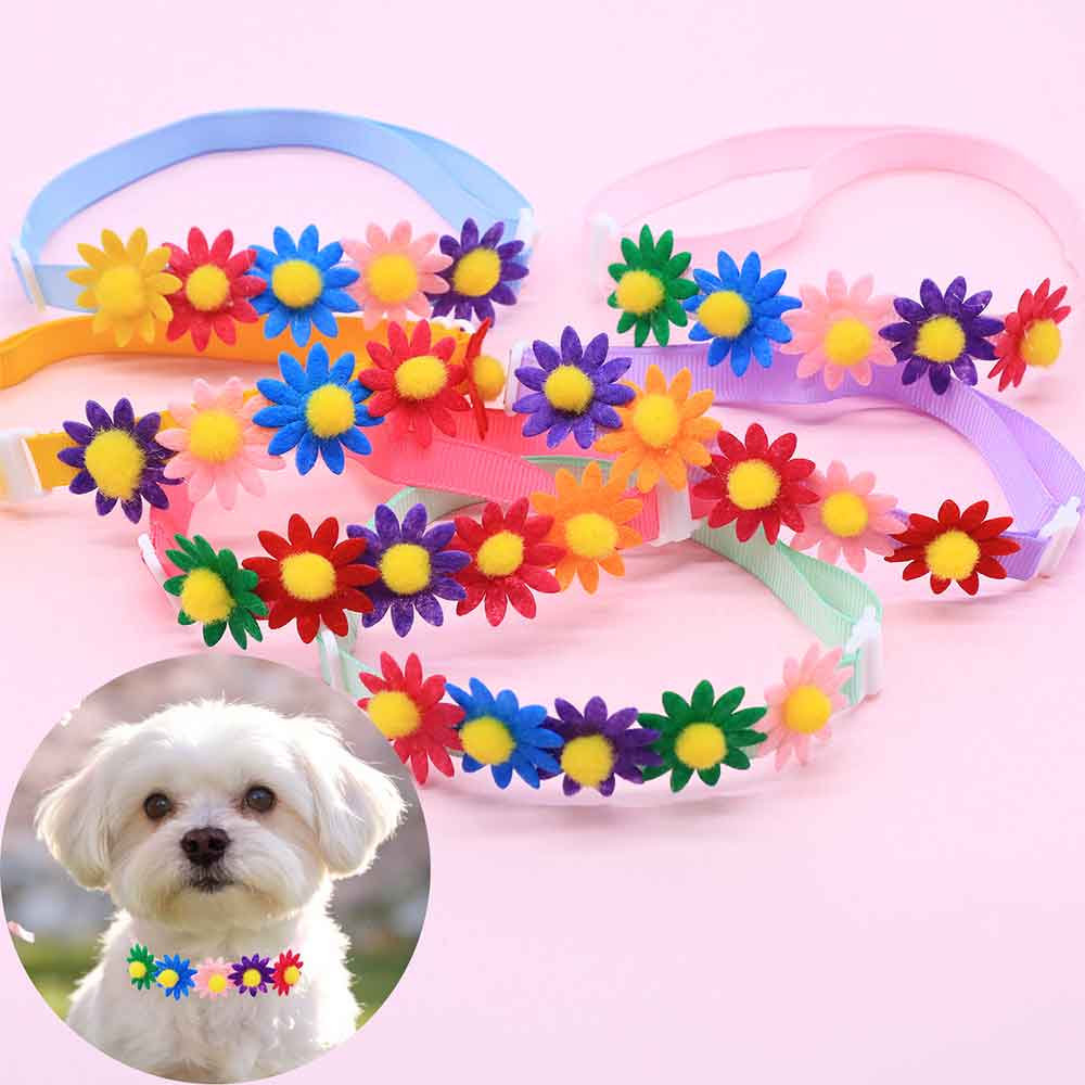 50 Buah Aksesori Bunga Dasi Ku - Pet Supplies Hours ulasan dan harga