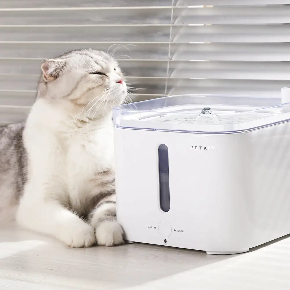 CANBOUN EVERSWEET Series Pet S - Pet Water Fountain ulasan dan harga