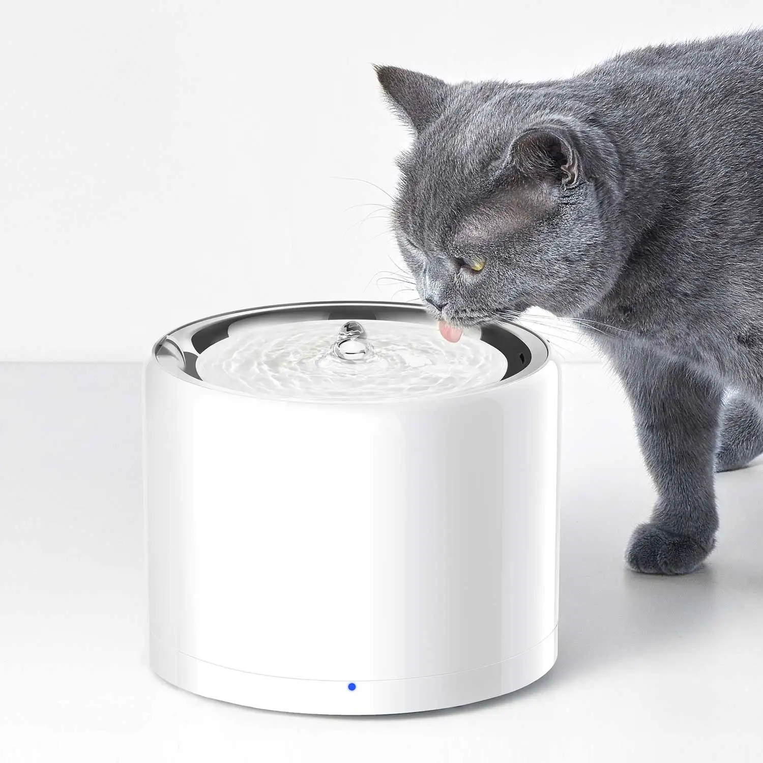 CANBOUN EVERSWEET Series Pet S - Pet Water Fountain ulasan dan harga