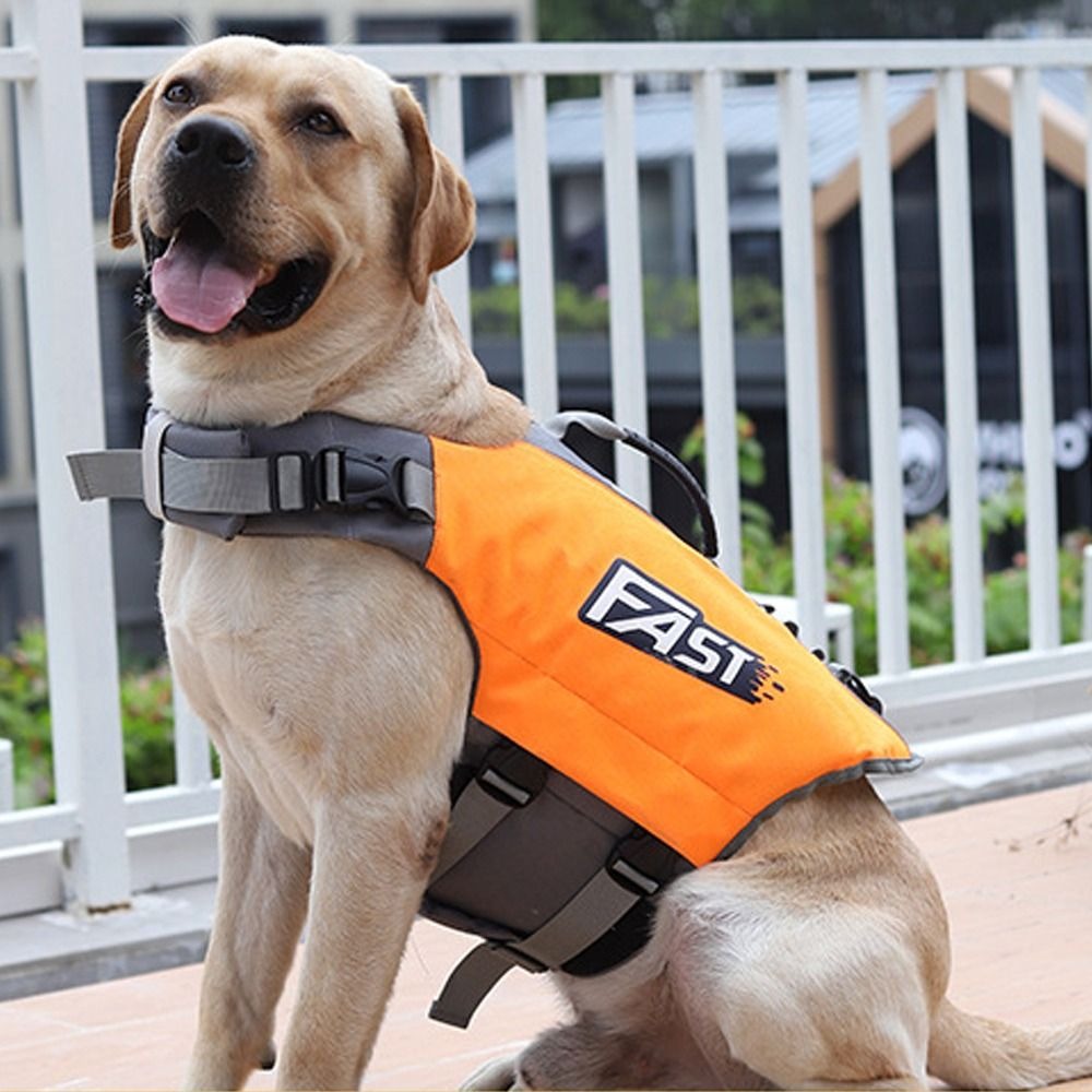 Jaket Renang Hewan Peliharaan  - Dog Life Jacket ulasan dan harga