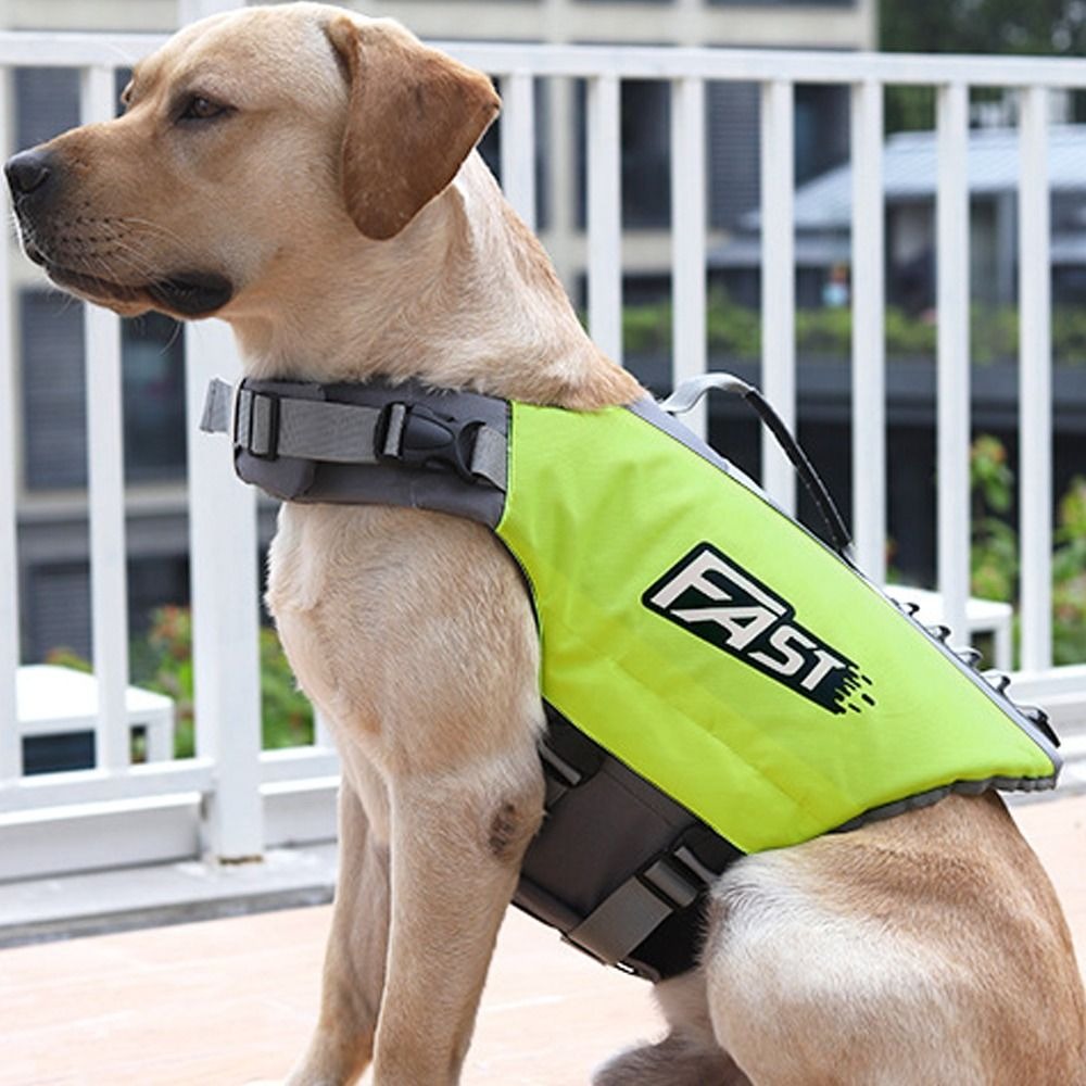 Jaket Renang Hewan Peliharaan  - Dog Life Jacket ulasan dan harga
