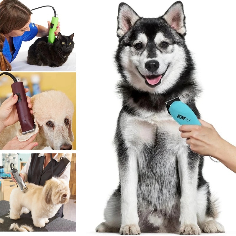 Pisau Lebar Hewan yang Dapat D - Dog Grooming Clippers ulasan dan harga
