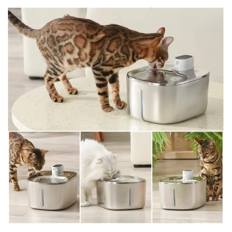 Tempat Minum Hewan Peliharaan  - Pet Water Fountain ulasan dan harga