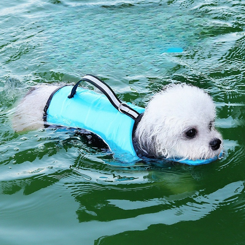 Baju Renang Anjing Pakaian Hew - Dog Life Jacket ulasan dan harga
