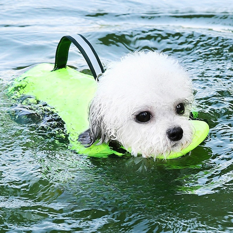 Baju Renang Anjing Pakaian Hew - Dog Life Jacket ulasan dan harga
