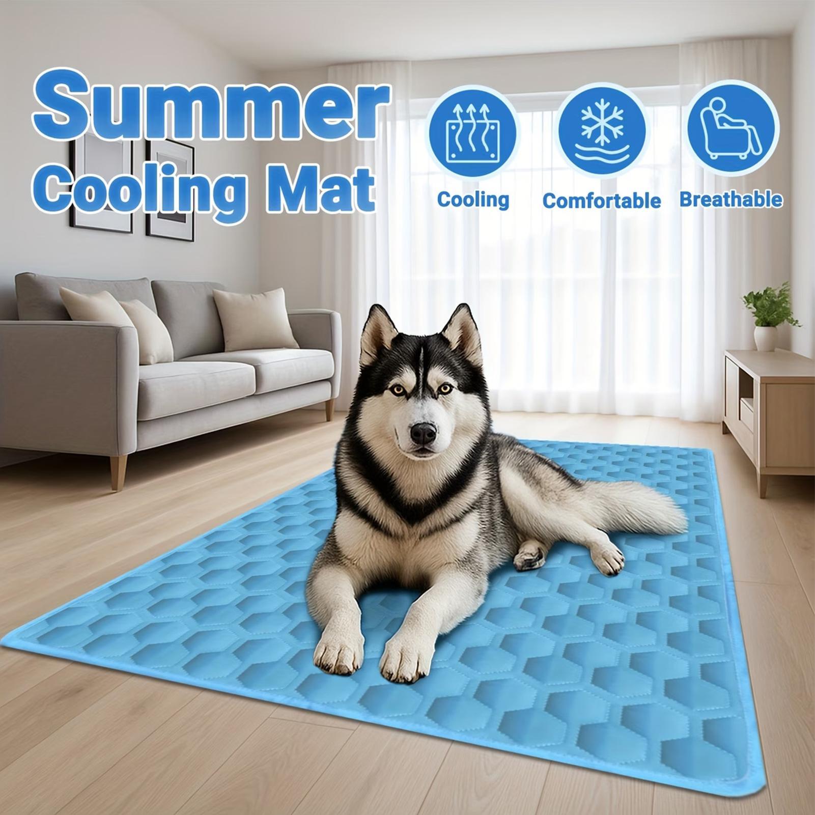 Alas Tidur Hewan Peliharaan Mu - Pet Supplies Dog Wash ulasan dan harga