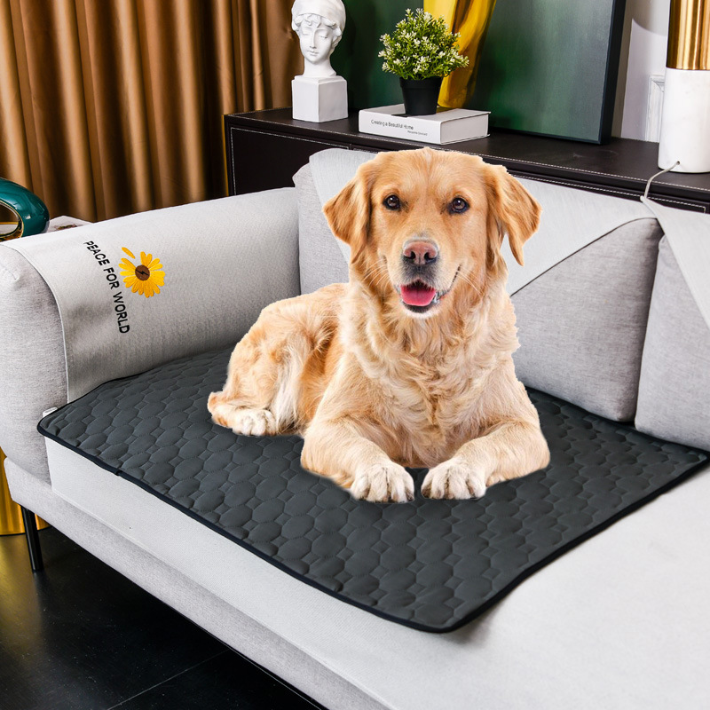 Alas Urin Anjing Dapat Dicuci  - Pet Supplies Dog Wash ulasan dan harga