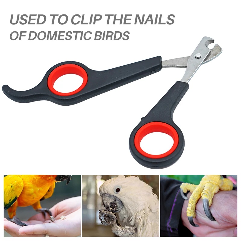 Gunting Kuku Burung Beo 12cm,  - Dog Grooming Clippers ulasan dan harga