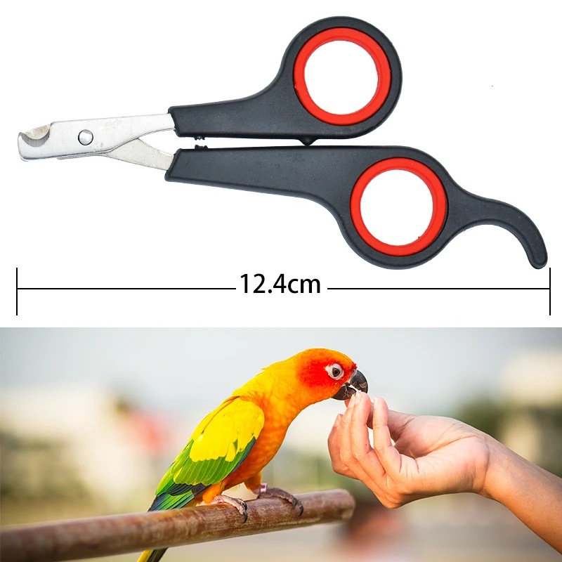 Gunting Kuku Burung Beo 12cm,  - Dog Grooming Clippers ulasan dan harga