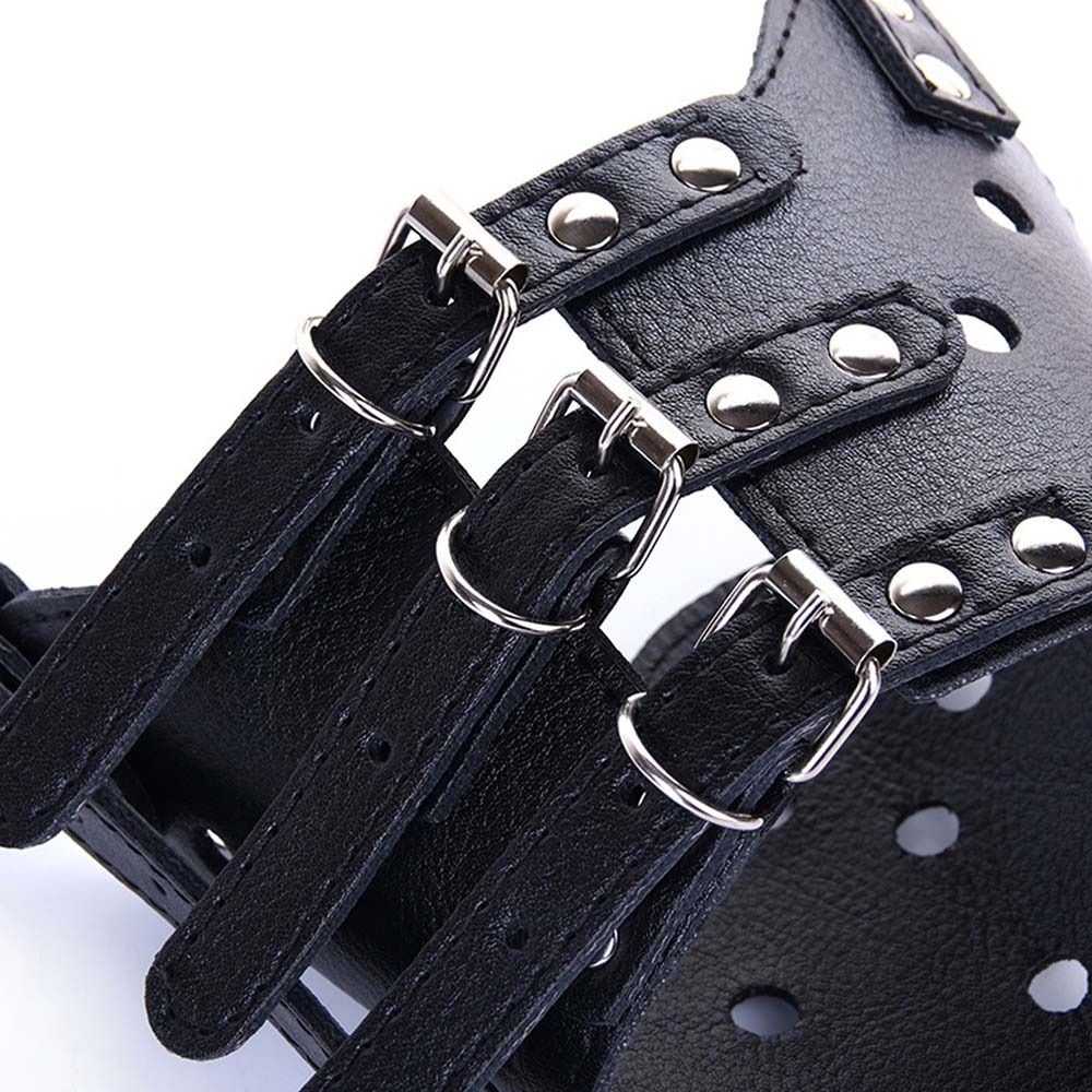 Penutup Mulut Anjing Anti Gigi - Pet Supplies Hours ulasan dan harga