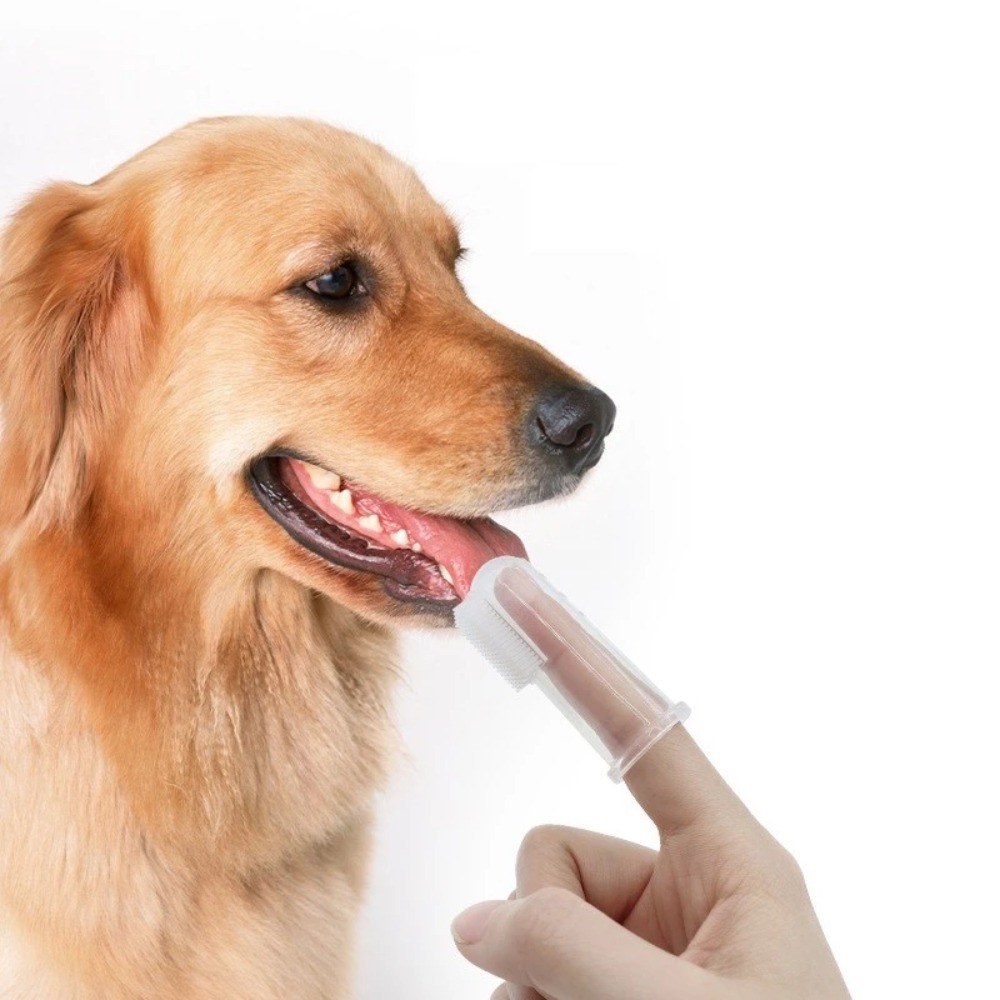 Sikat Gigi Jari Hewan Pelihara - Pet Supplies Us ulasan dan harga