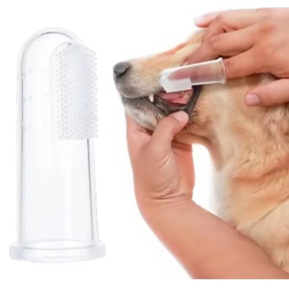 Sikat Gigi Jari Hewan Pelihara - Pet Supplies Us ulasan dan harga