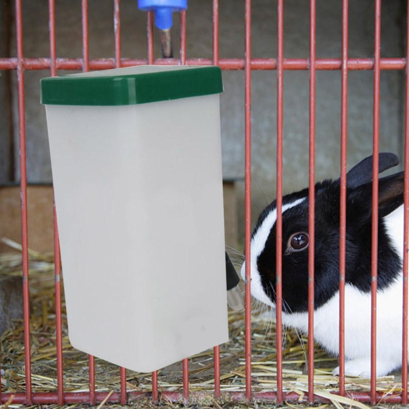 Dispenser Botol Air Minum Hewa - Pet Water Fountain ulasan dan harga