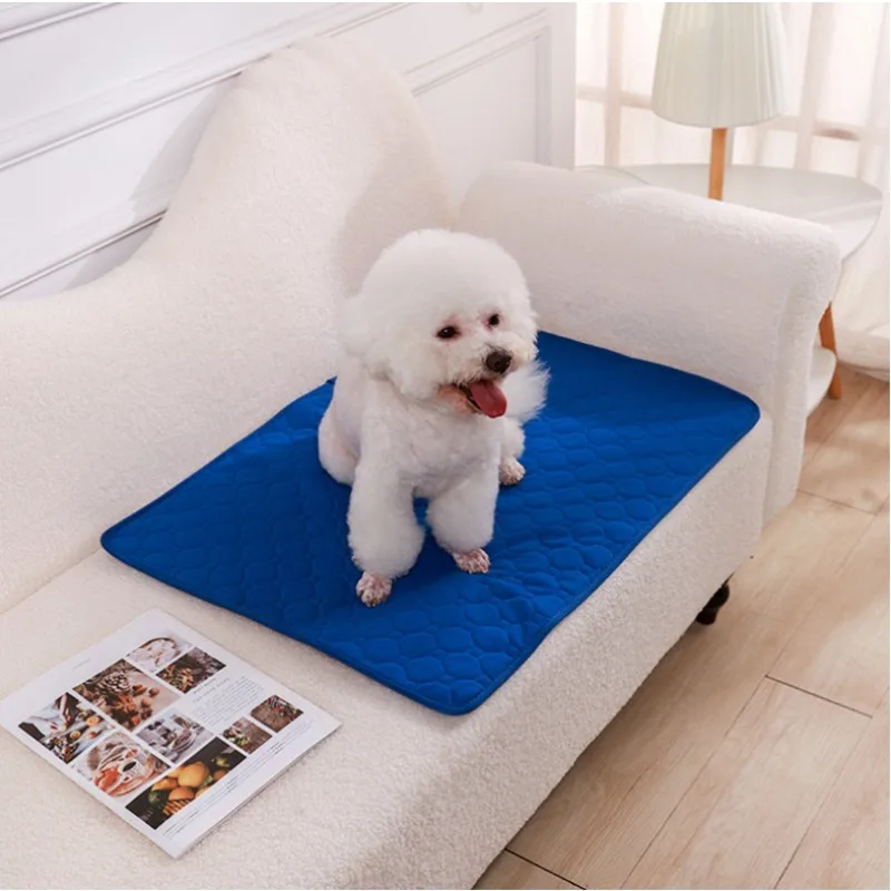 Alas Pipis Anjing yang Dapat D - Pet Supplies Dog Wash ulasan dan harga