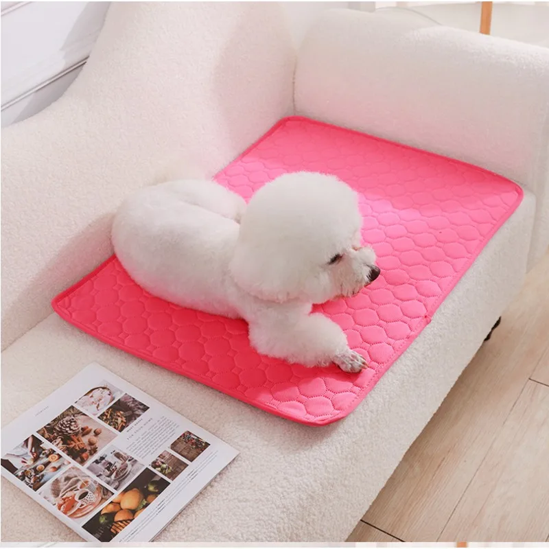 Alas Pipis Anjing yang Dapat D - Pet Supplies Dog Wash ulasan dan harga