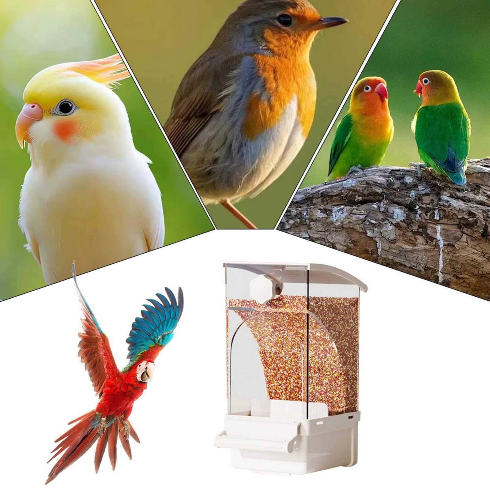 Pengumpan Burung Otomatis Pemi - Pet Supplies Us ulasan dan harga