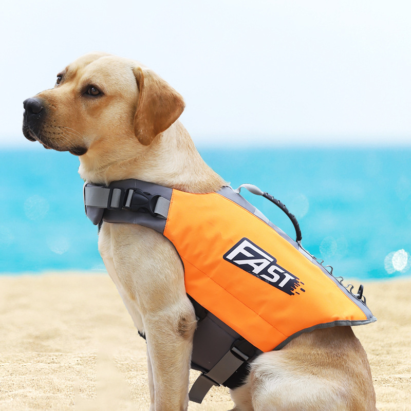 Rompi Pelampung Renang untuk A - Dog Life Jacket ulasan dan harga