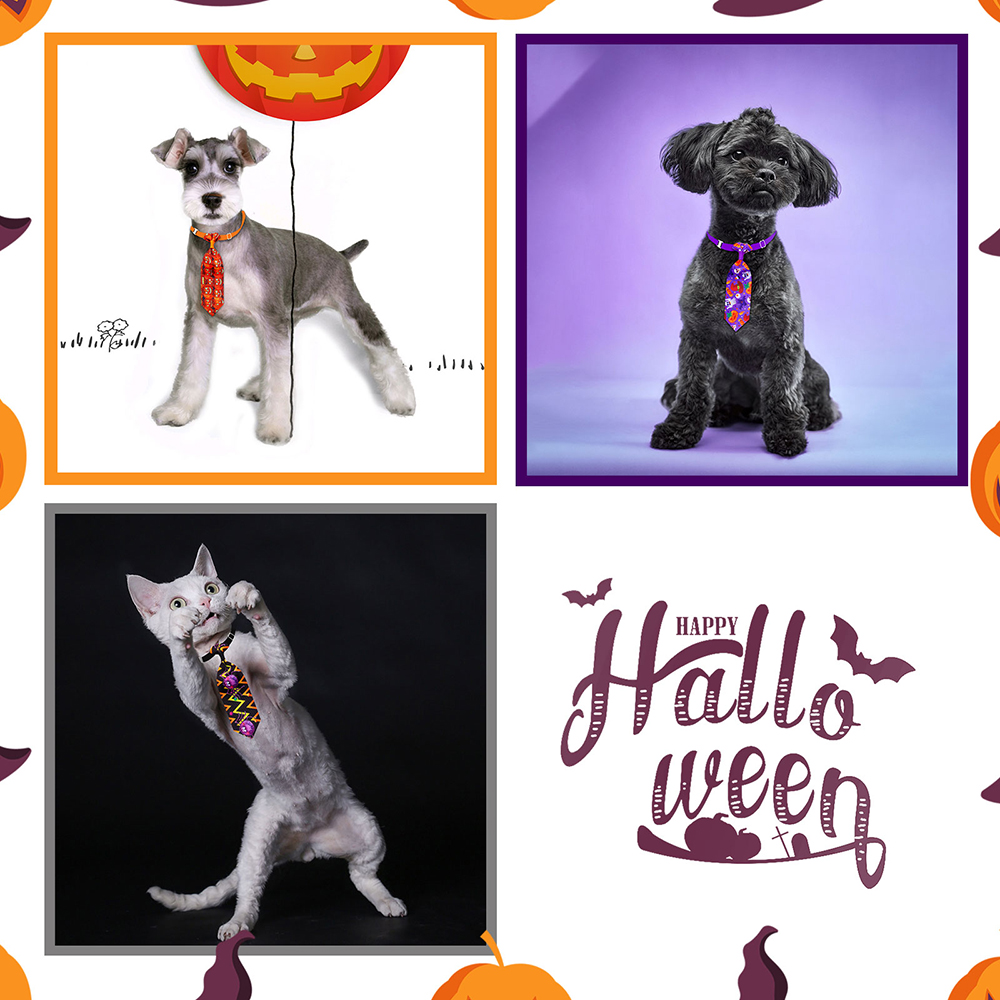 50/100 Buah Halloween Aksesori - Pet Supplies Hours ulasan dan harga