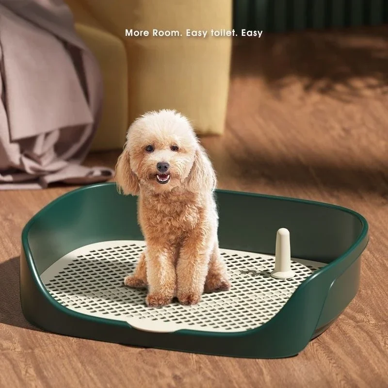 Toilet Latihan Hewan Peliharaa - Pet Supplies Hours ulasan dan harga