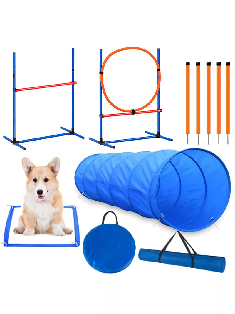 Perlengkapan Kompetisi Latihan - Pet Supplies For Dogs ulasan dan harga