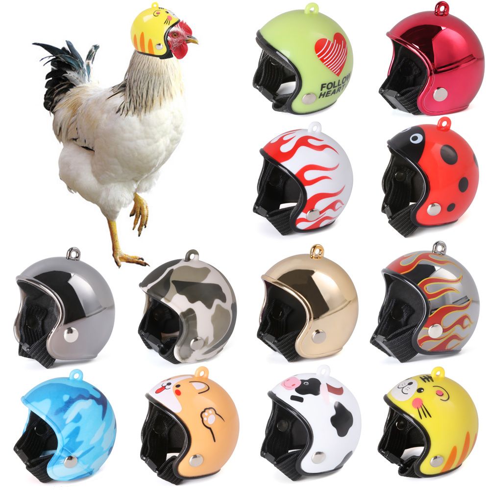 Perlengkapan Hewan Peliharaan  - Pet X Supplies & Tack Reviews ulasan dan harga