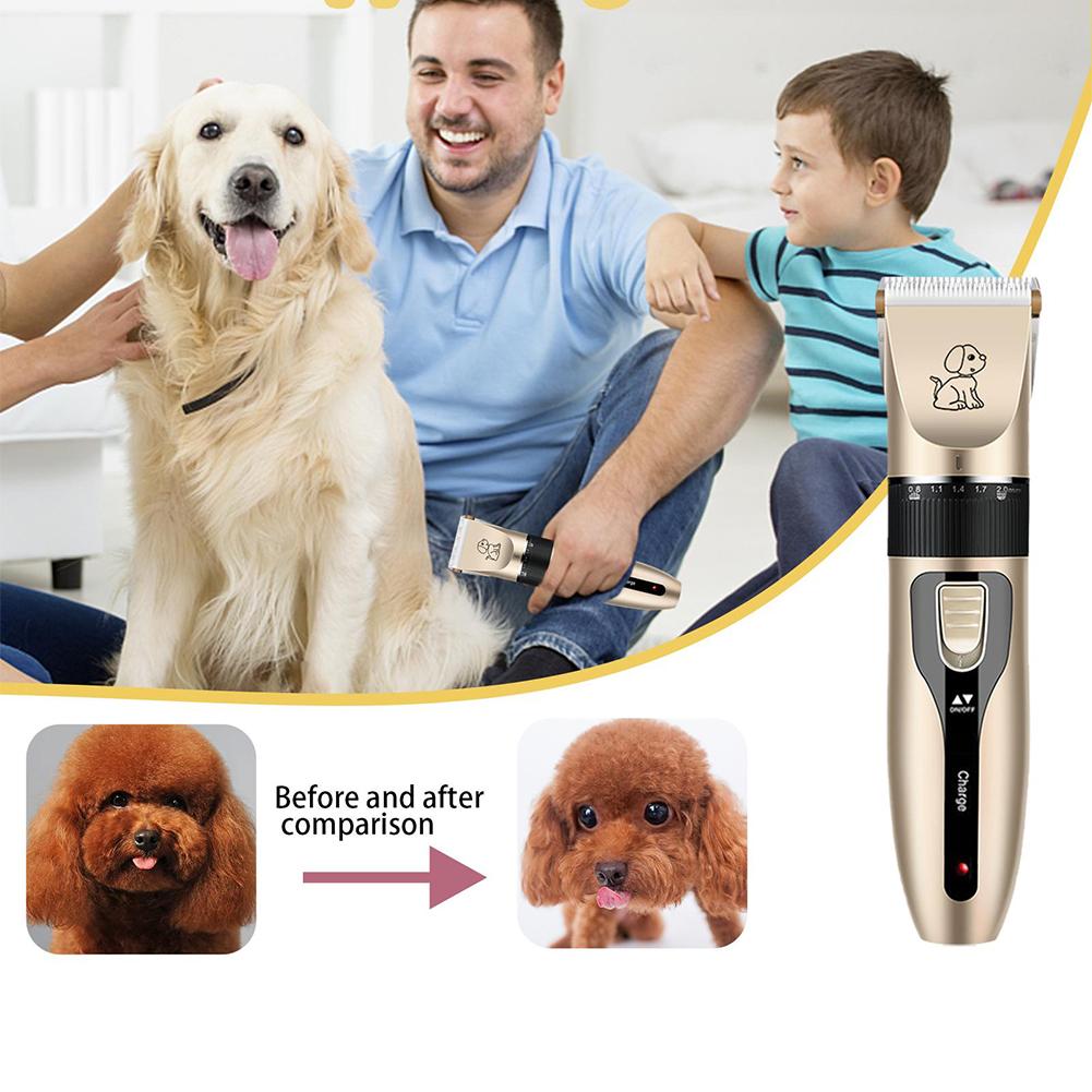 Kit Pemotong Rambut Hewan Peli - Dog Grooming Clippers ulasan dan harga