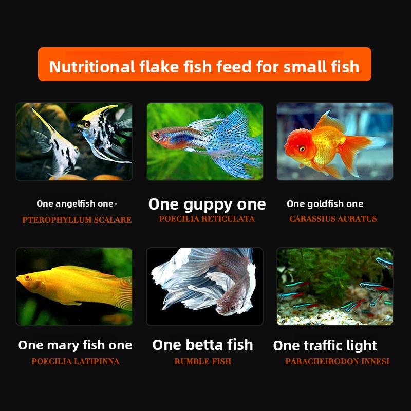 Makanan Ikan DaJiaWa Spirulina - Tetra Food Goldfish Flakes ulasan dan harga