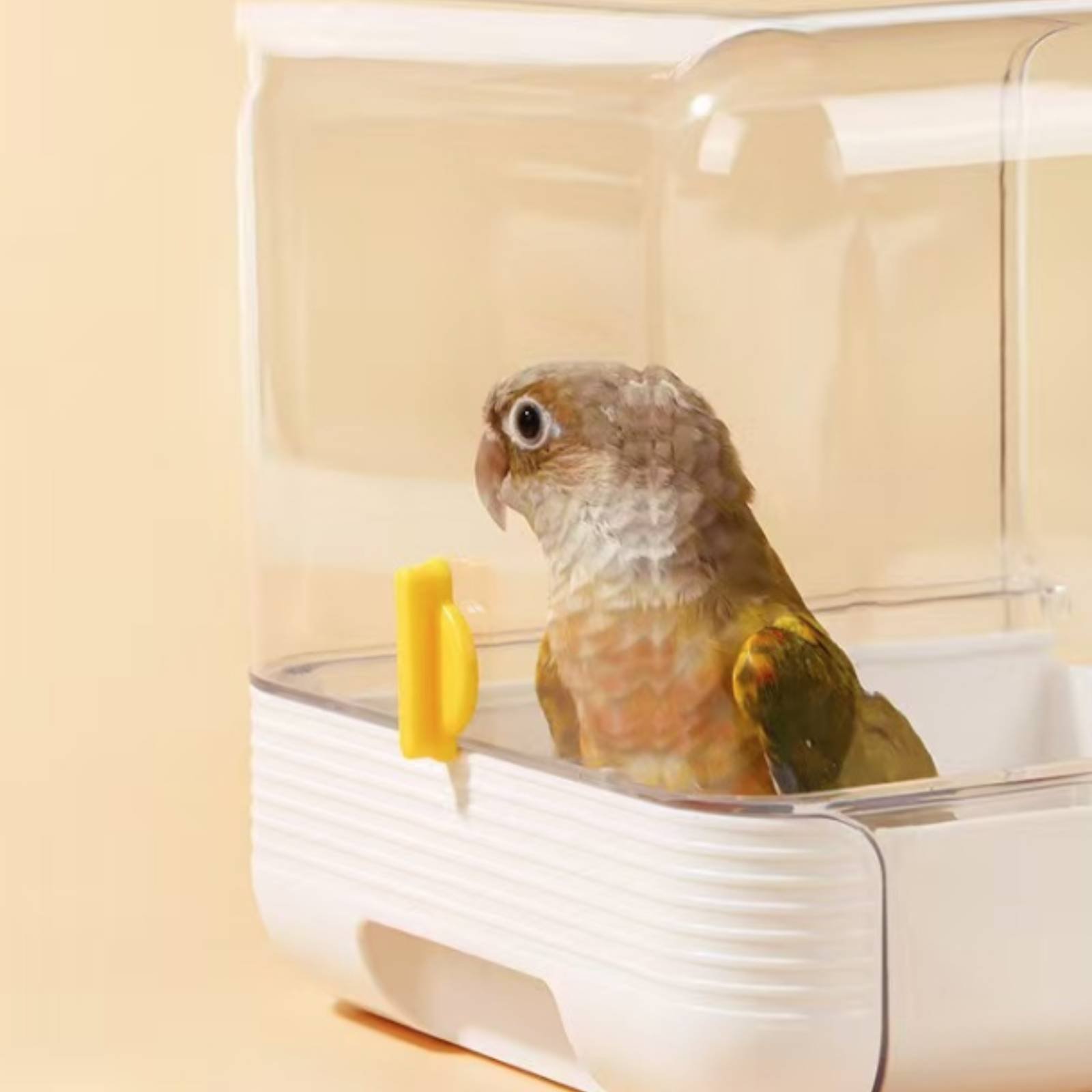 Bak Mandi Burung Multifungsi,  - Pet Supplies Us ulasan dan harga