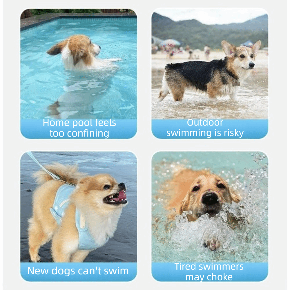 Jaket Pelampung Anjing yang Da - Dog Life Jacket ulasan dan harga