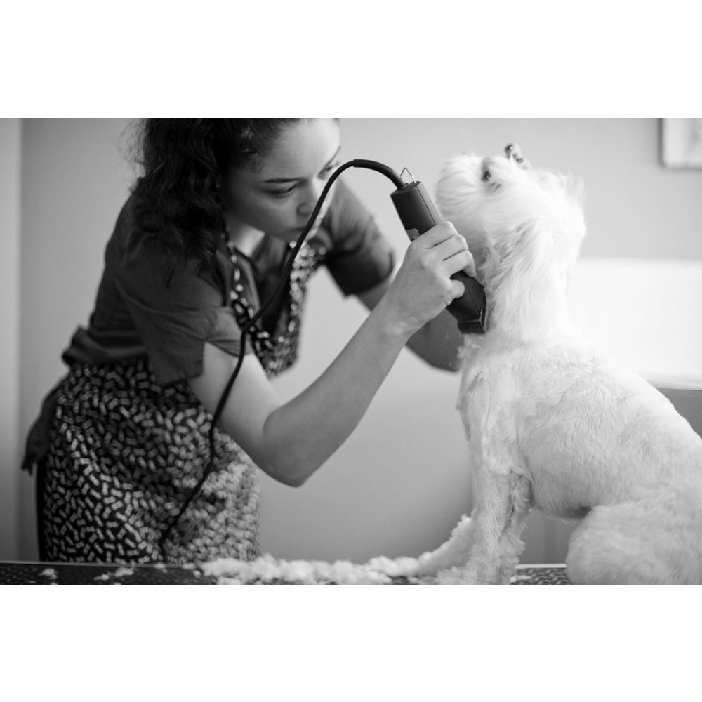 Alat Cukur Bulu Anjing Profesi - Dog Grooming Clippers ulasan dan harga